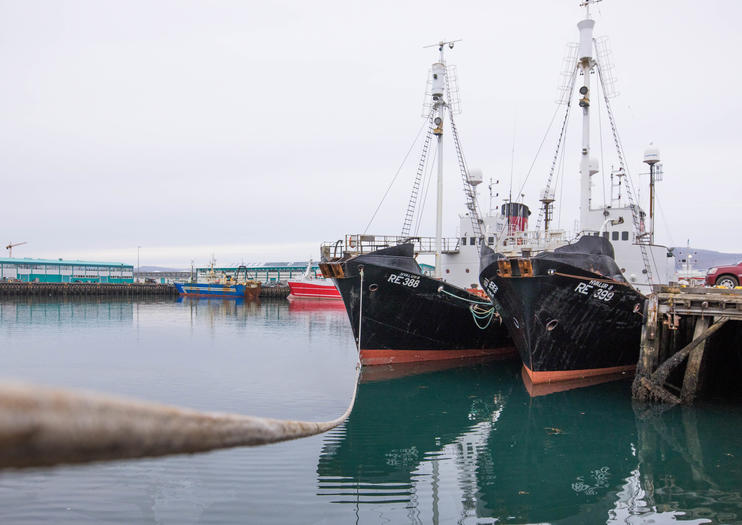 How to Spend 2 Days in Reykjavik